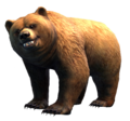Bear.png