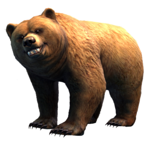 Bear.png