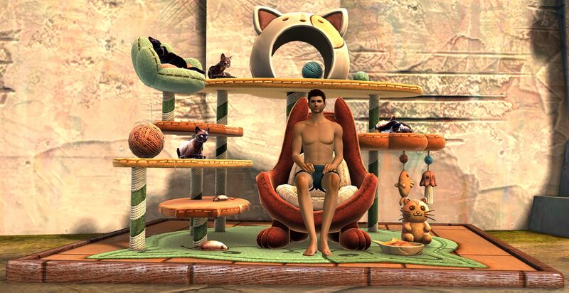 File:Cat Tree Chair human male.jpg