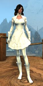 Appearance on light armor.