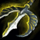 Hawk Trident.png
