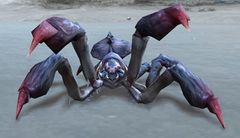 Hirsute Ice Spider.jpg