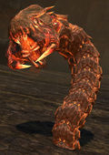 Lava Wurm.jpg