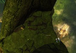 The Exalted Mask will be on the ledge, right above the Eastwatch pylon.