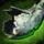 Orrian Warhorn