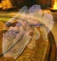 Thumbnail for version as of 23:44, 3 December 2016