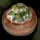 Sage-Stuffed Mushroom.png