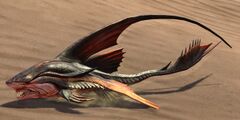 Sand Shark (alt).jpg