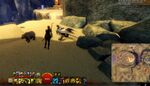 Skyscale Lost—Hall of Ascension.jpg