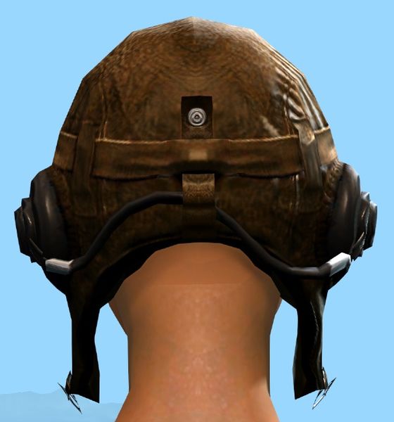 File:Aviator Cap back.jpg