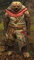 Brown Lowland Kodan (spear and hood).jpg