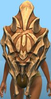 Leviathan Bone Shield.jpg