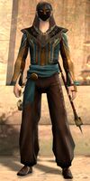 Lionguard human light 3.jpg