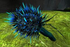 Nightthistle Bloom.jpg