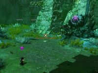 Pure Enmity 2 location.jpg
