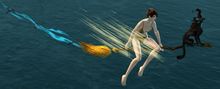 Riding Broom Glider side.jpg