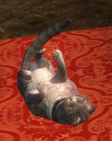 Shadow back.jpg