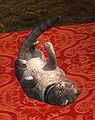 Thumbnail for version as of 16:08, 16 September 2012