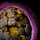 Skyscale Egg 7.png