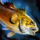 Smallmouth Bass.png
