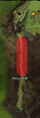 Thumbnail for version as of 21:06, 10 April 2014