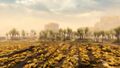 Amnoon Farms