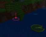 Dark Woods dig spot 6.jpg