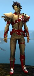 Elegy armor (light) sylvari male front.jpg