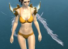 Exalted Shoulders front.jpg