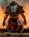 Flame Legion Fire Shaman 3.jpg