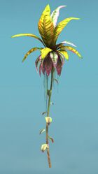 Island Shrub.jpg