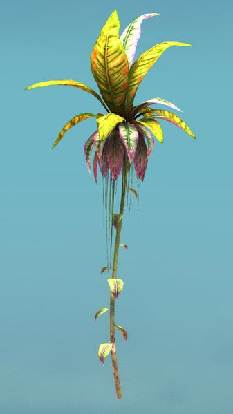 File:Island Shrub.jpg