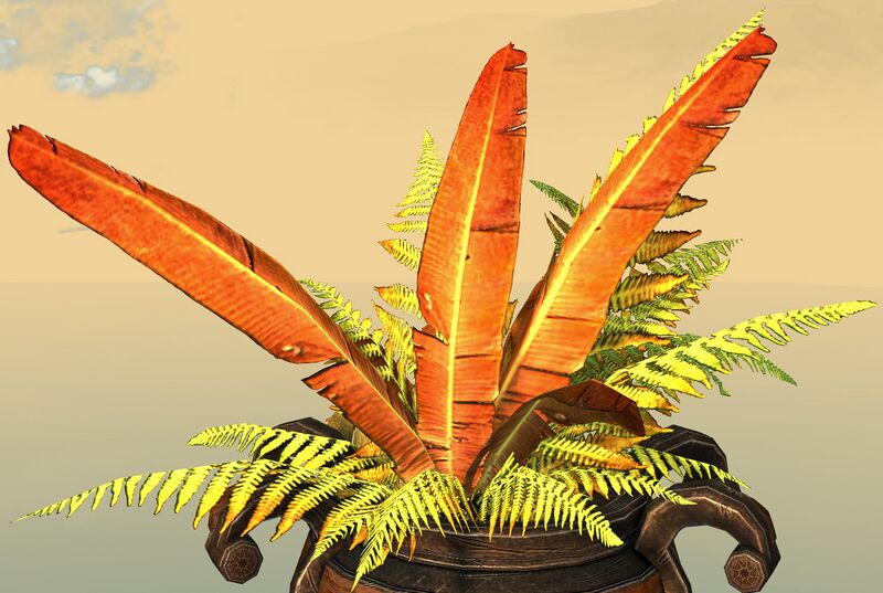 File:Potted Gold Fern close-up.jpg
