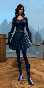 Appearance on light armor.