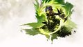 Concept art