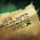 Amira's Lament.png