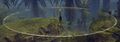 Thumbnail for version as of 11:35, 12 November 2025