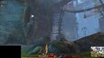 Aspect Gatherer 16 2021.jpg