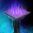 Brawling Obstacle- Purple Torches.png
