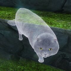 Cat (ghost).jpg