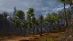 Diremane Woods.jpg