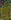 Gnarlgrove map.jpg