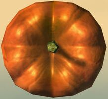 Pumpkin top.jpg