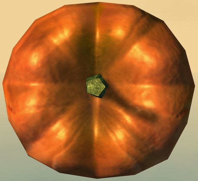 File:Pumpkin top.jpg