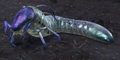 Purple-Headed Grub.jpg