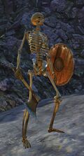 Skeleton.jpg