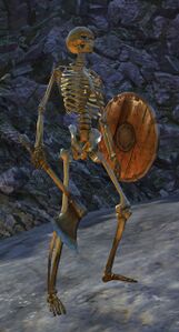 Skeleton.jpg