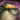 Ardent Glorious Leggings.png