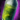 Canyon Spider Queen's Venom.png