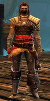 Corsair Brawler (male).jpg